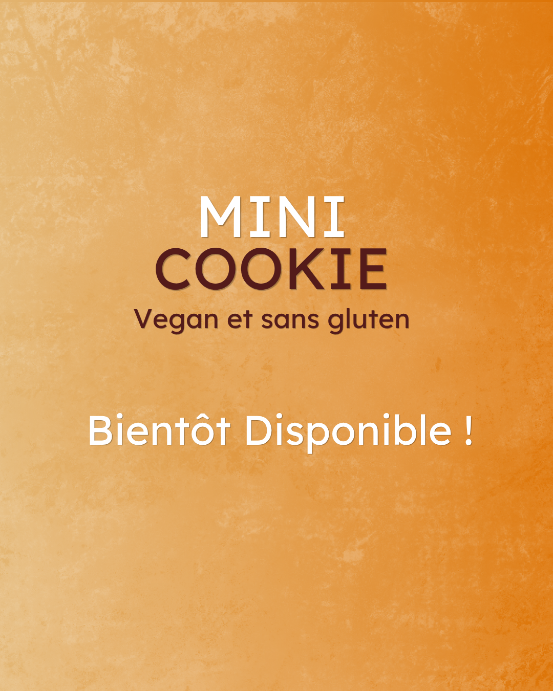 Box mini Cookies Vegan et Sans Gluten